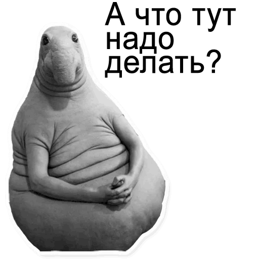 Стикеры Ждун