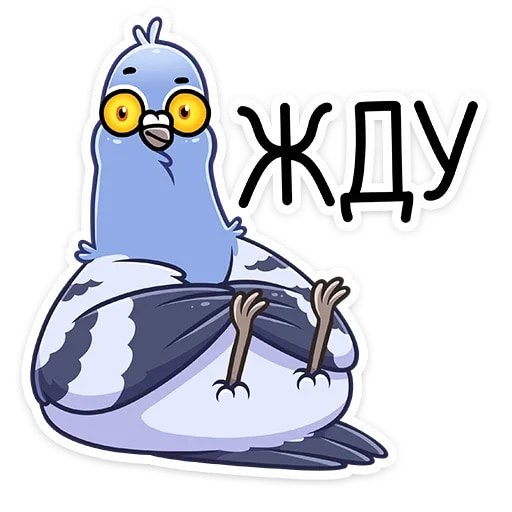 Стикеры Голубь